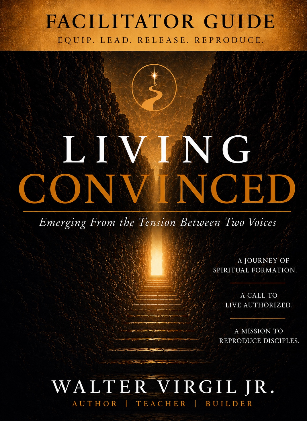 The Living Convinced Facilitator Guide by Walter Virgil Jr. Front cover: solid white LIVING wordmark over gold CONVINCED on a black background with a stone canyon leading to a bright doorway.